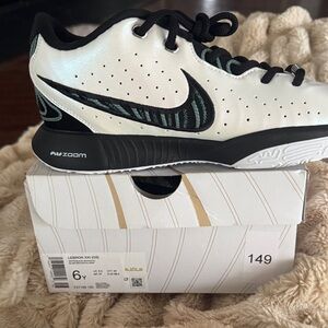 Nike LeBron XXI Low White and Black Sneakers
NWT